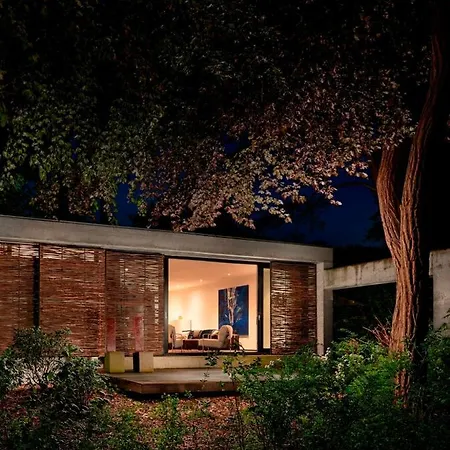 Betonnen Boshuis * Oosterhout (North Brabant)