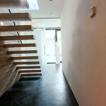 Betonnen Boshuis Dom wakacyjny *