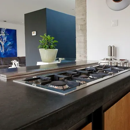 Betonnen Boshuis * Oosterhout (North Brabant)