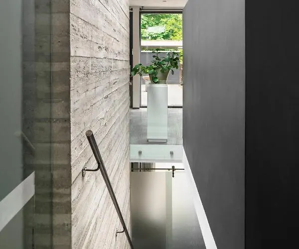 Vakantiehuis Betonnen Boshuis