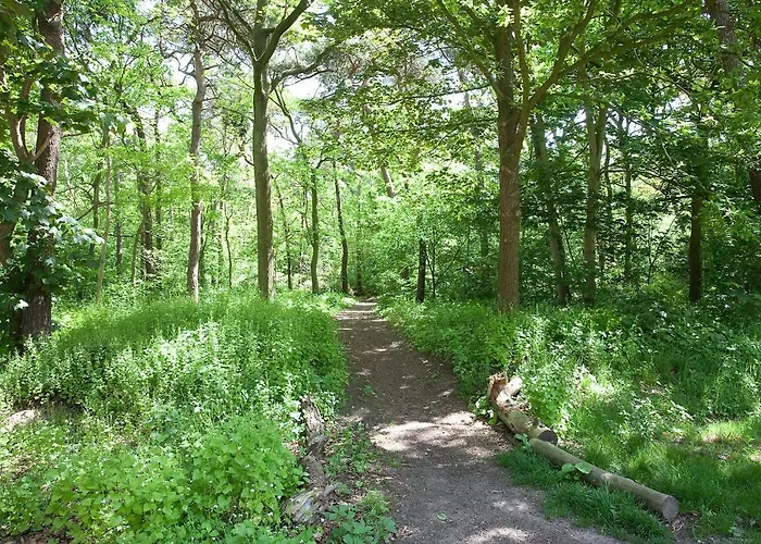 Vakantiehuis Betonnen Boshuis Oosterhout (North Brabant)