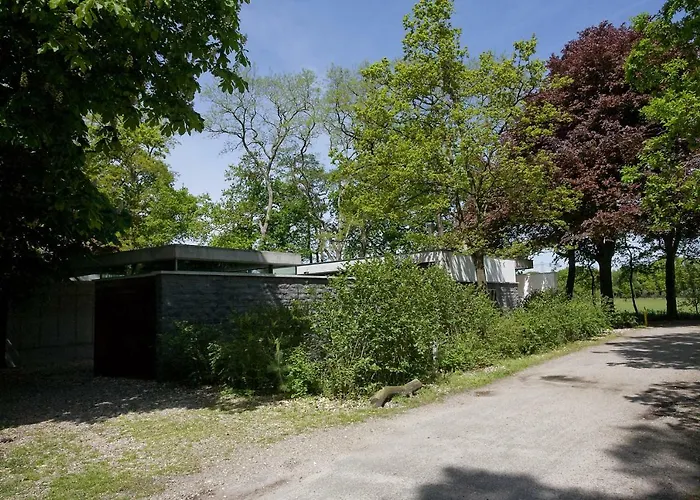 Betonnen Boshuis Vakantiehuis *