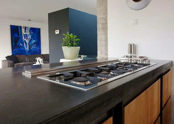 Betonnen Boshuis * Oosterhout (North Brabant)