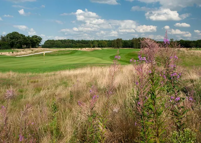 Betonnen Boshuis * Oosterhout (North Brabant)